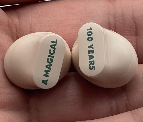 Disney 100 Anniversary Earbuds – Disney Qs-t1 Earphone