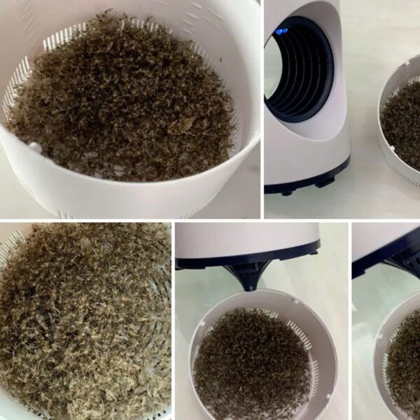 Uv Lamp Mosquito Killer Lamp Electric Mosquito Trap