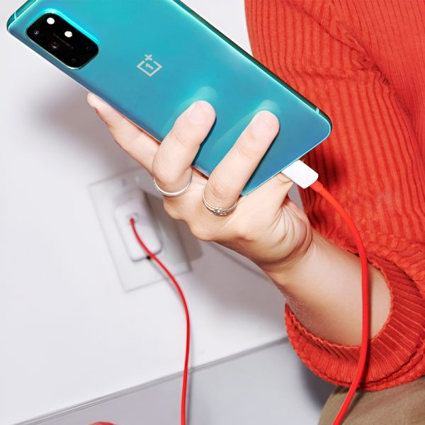 OnePlus 65W Wrap Adapter