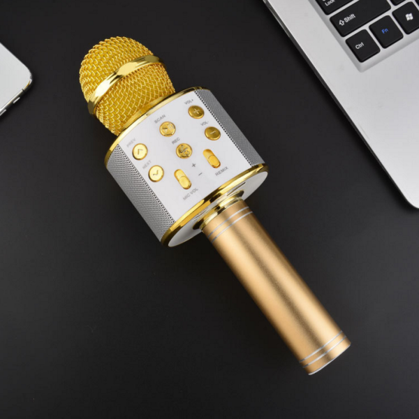 Ws-858 Wireless Handheld Karaoke Microphone